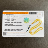 Natural Amber Insects Misbaha Tasbih Prayer Beads 9mm 31.8g 66beads
