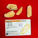 *Yellow White Egg Shape Amber Misbaha  Prayer Beads  16x21mm 133g