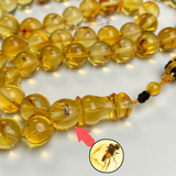 Natural Amber Insects Misbaha Tasbih Prayer Beads 9.8mm 28g 45beads